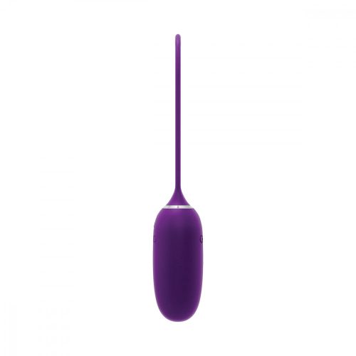 A03941 VeDO KiwiBulletPurple 04 1000x1000 1